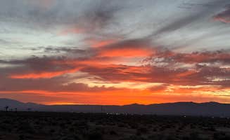 Ronnie W.'s photo of a dispersed camping area at East Mojave Camp near Valyermo, CA