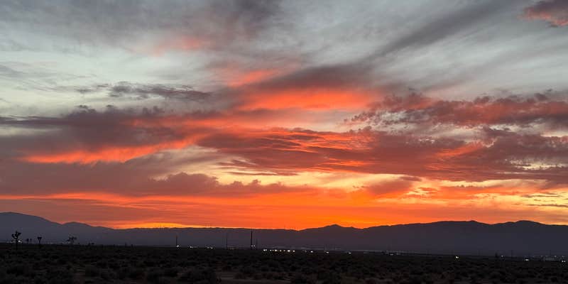 Camper submitted image from East Mojave Camp