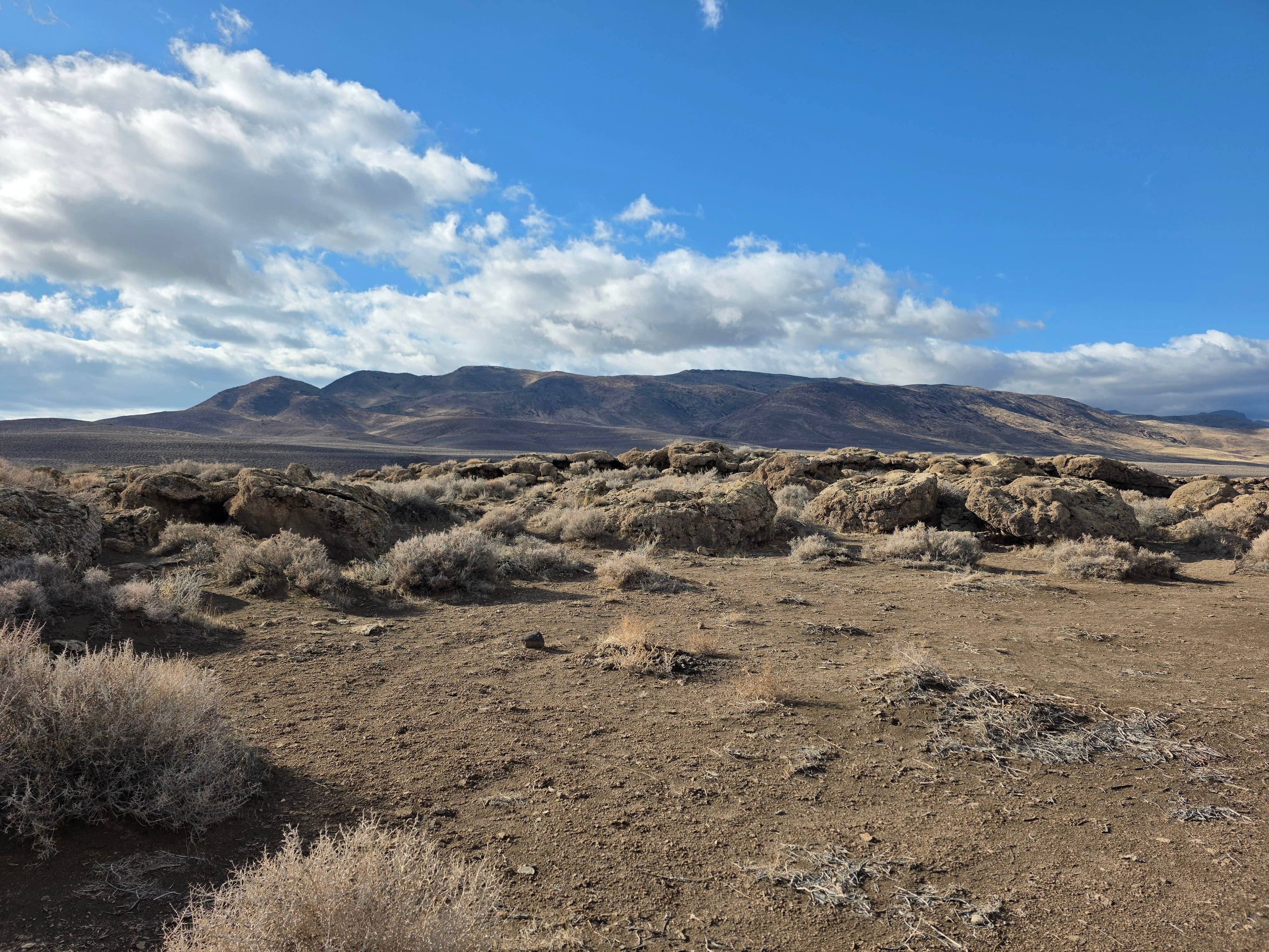 Camper-submitted photo at East of Pyramid Lake near Fernley, NV