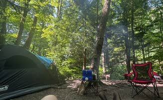 Maddie C.'s photo of camping with pets at East Otto State Forest near Panama, NY