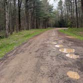 Review photo of East Otto State Forest by Ilce H., May 1, 2026