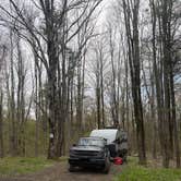Review photo of East Otto State Forest by Ilce H., May 1, 2026