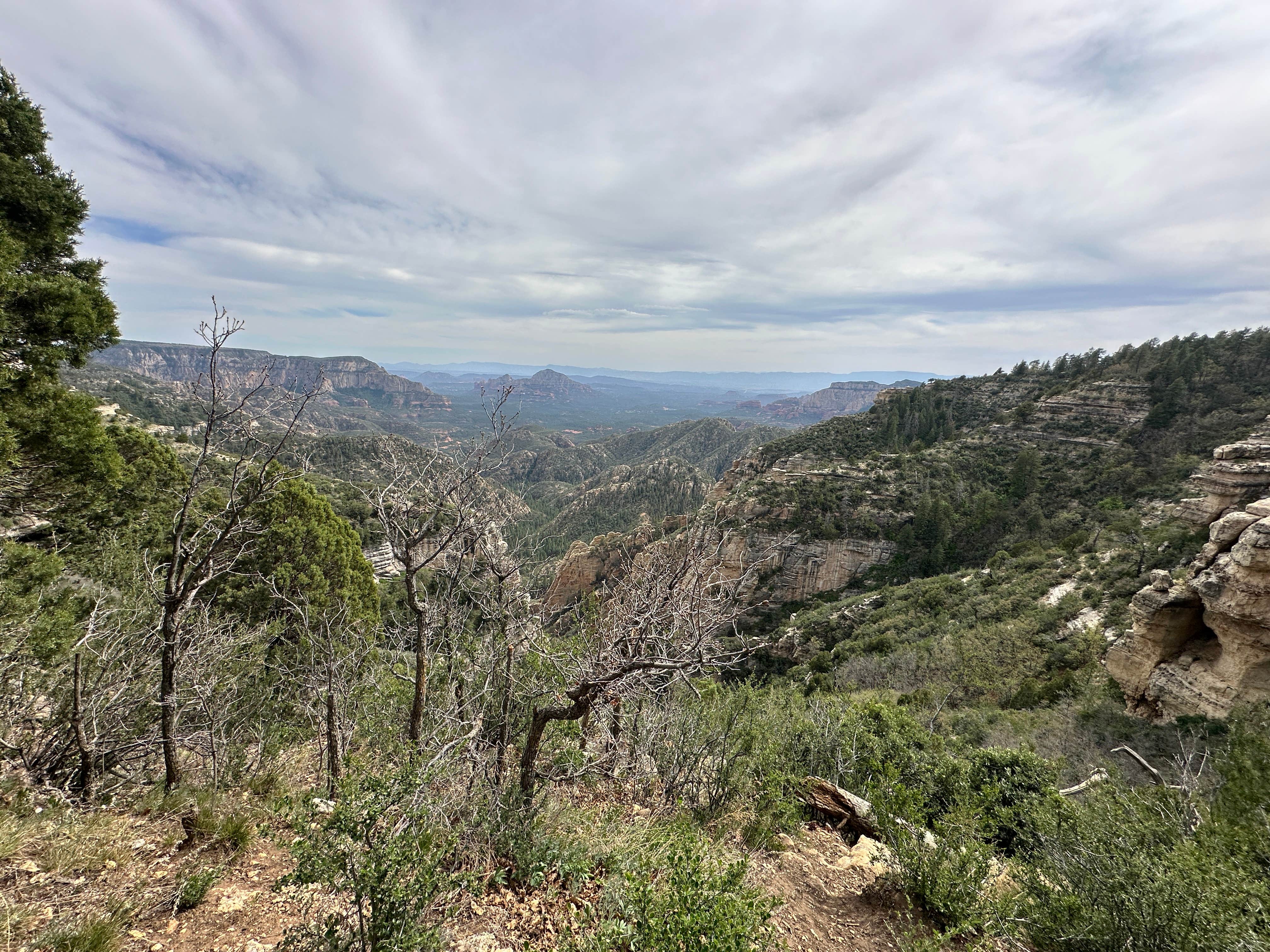 Camper submitted image from East Pocket in Sedona - 1