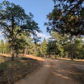 Review photo of East Pocket in Sedona by Chris K., July 14, 2025