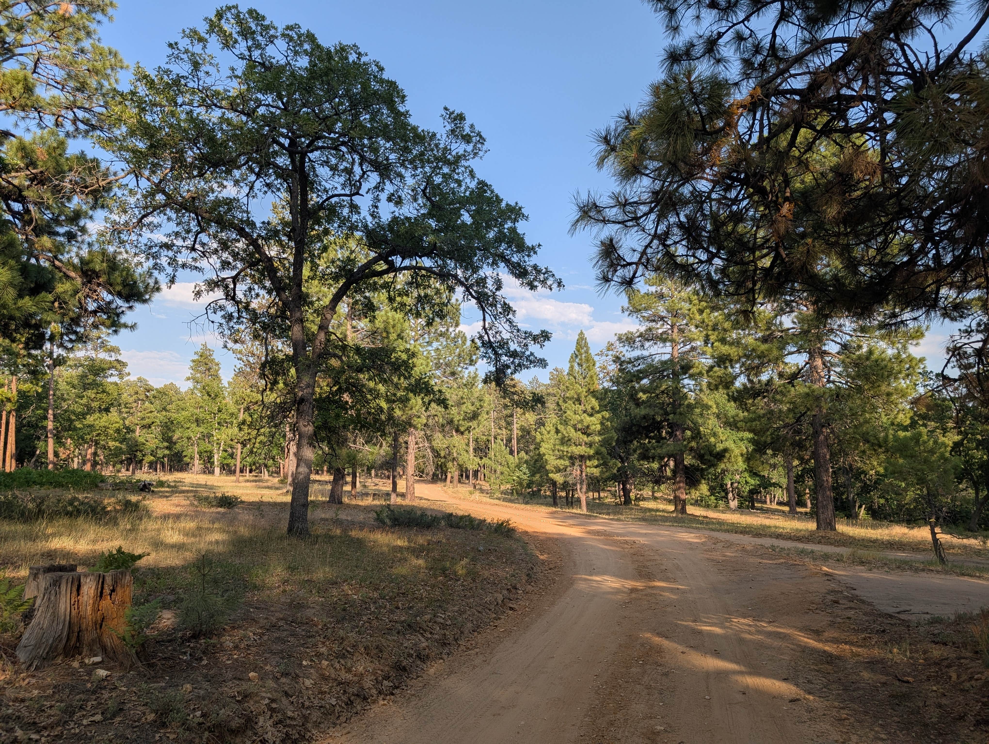 Camper submitted image from East Pocket in Sedona - 2