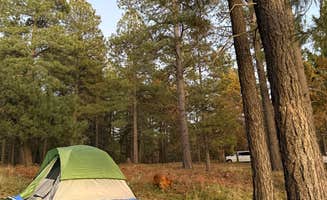 Delilah P.'s photo of tent camping at East Pocket in Sedona near Lake Montezuma, AZ