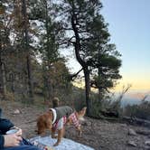 Review photo of East Pocket in Sedona by Delilah P., November 6, 2025