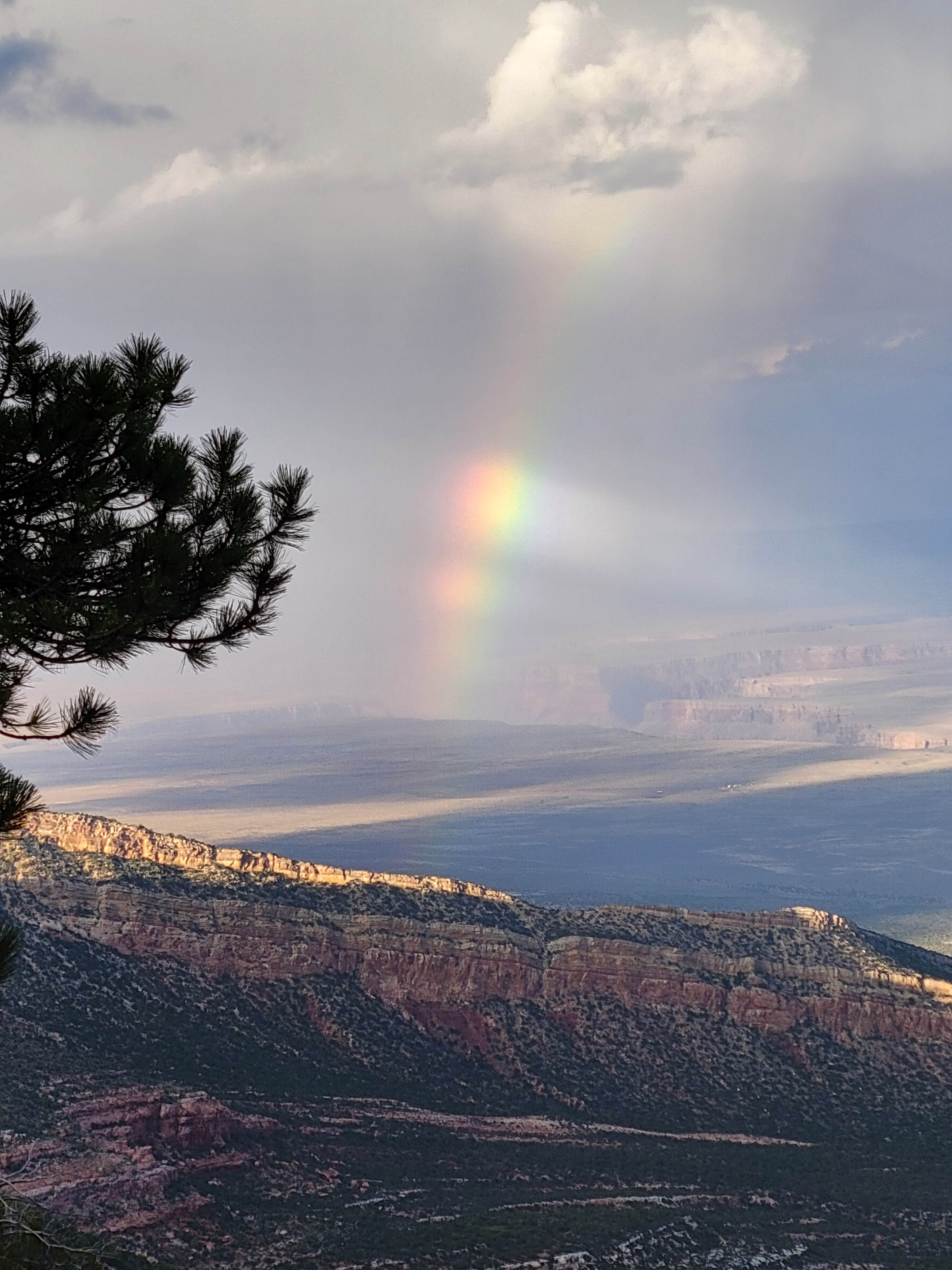 Camper submitted image from East Rim Camp on Forest Road 611 - 2