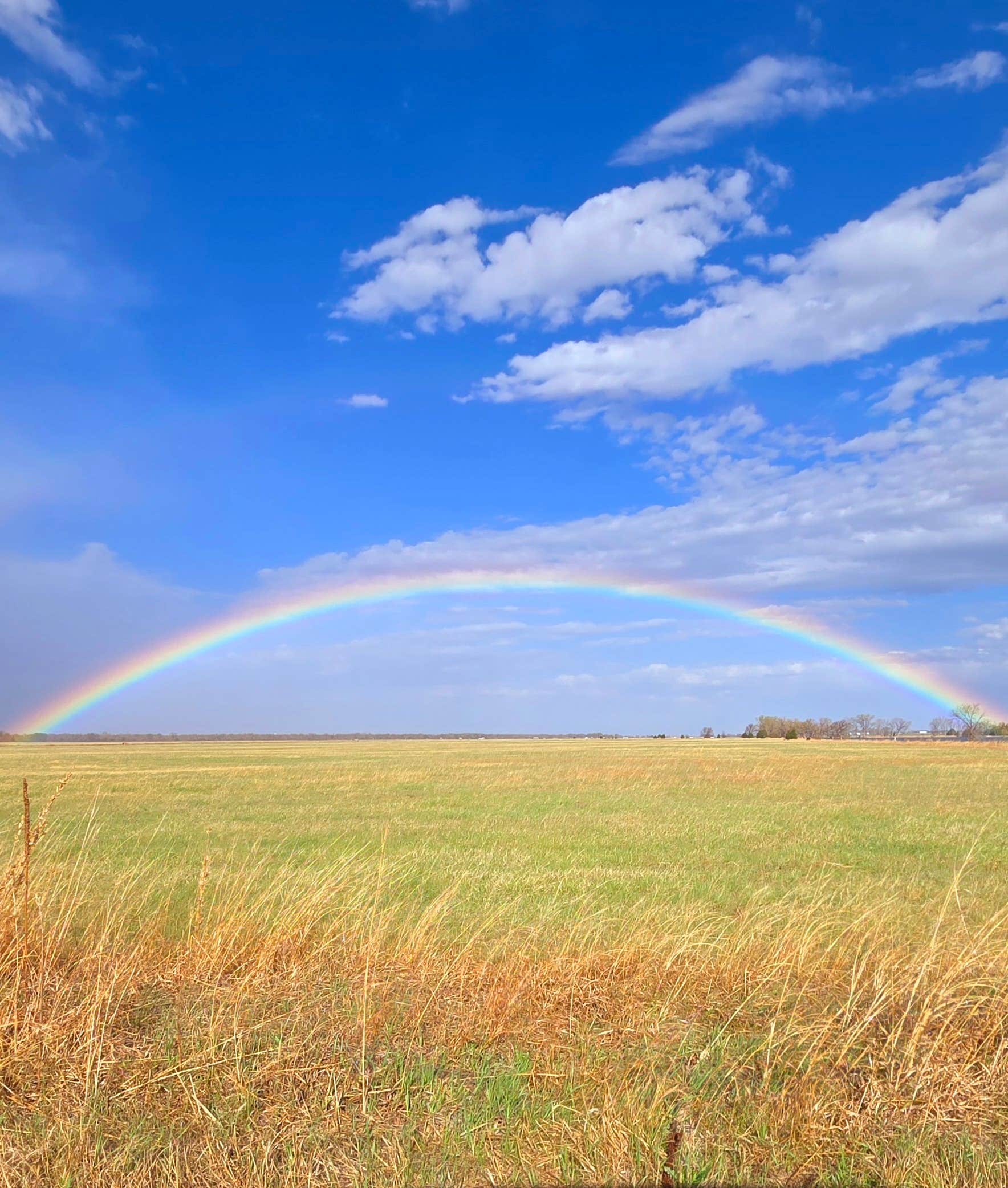 Camper submitted image from East Sutherland Wildlife Management Area - 1