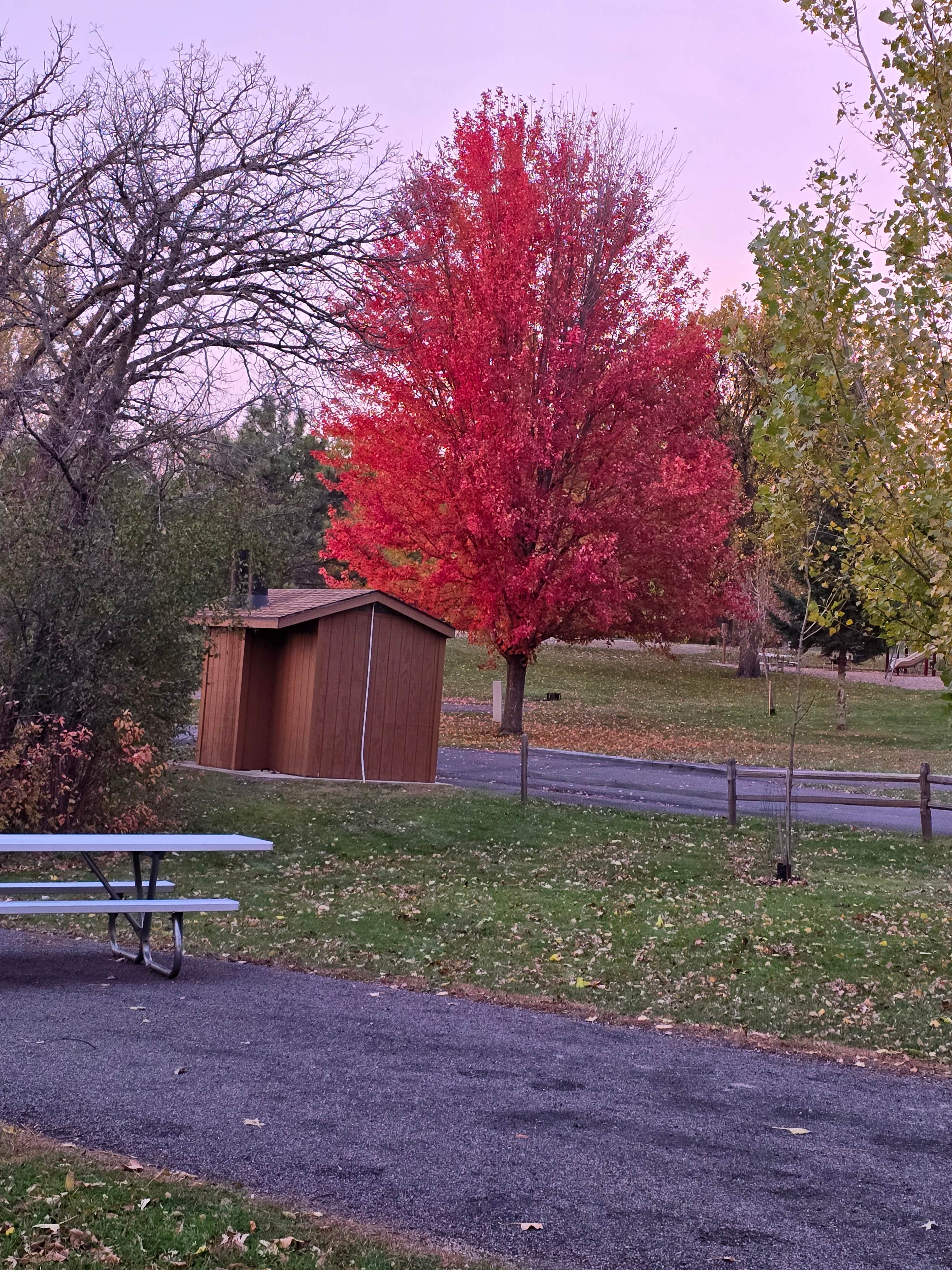 Camper-submitted photo at East Unit — Pickerel Lake Recreation Area near Lake City, SD