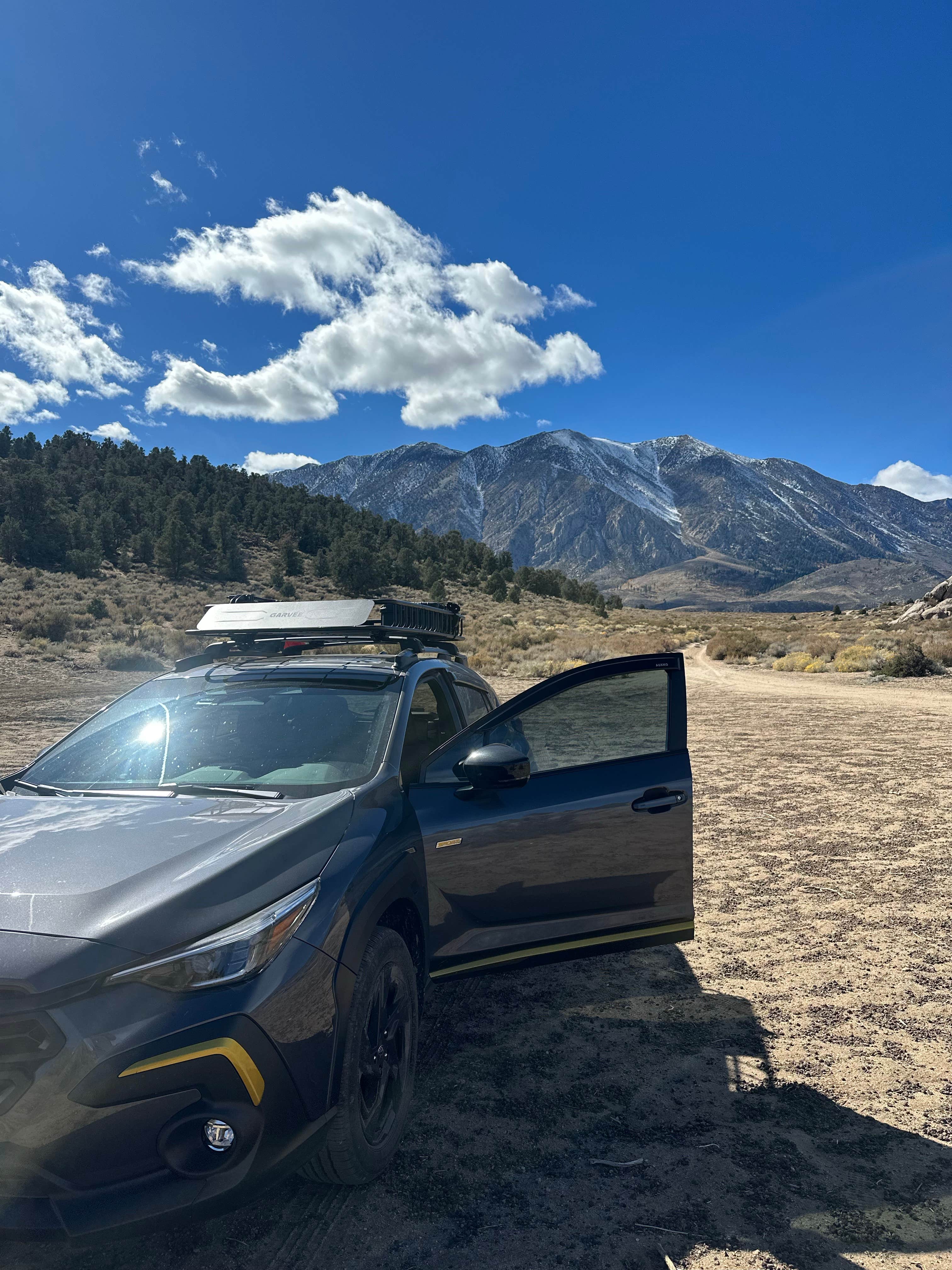 Camper submitted image from Eastern Sierra Flats Dispersed - 2