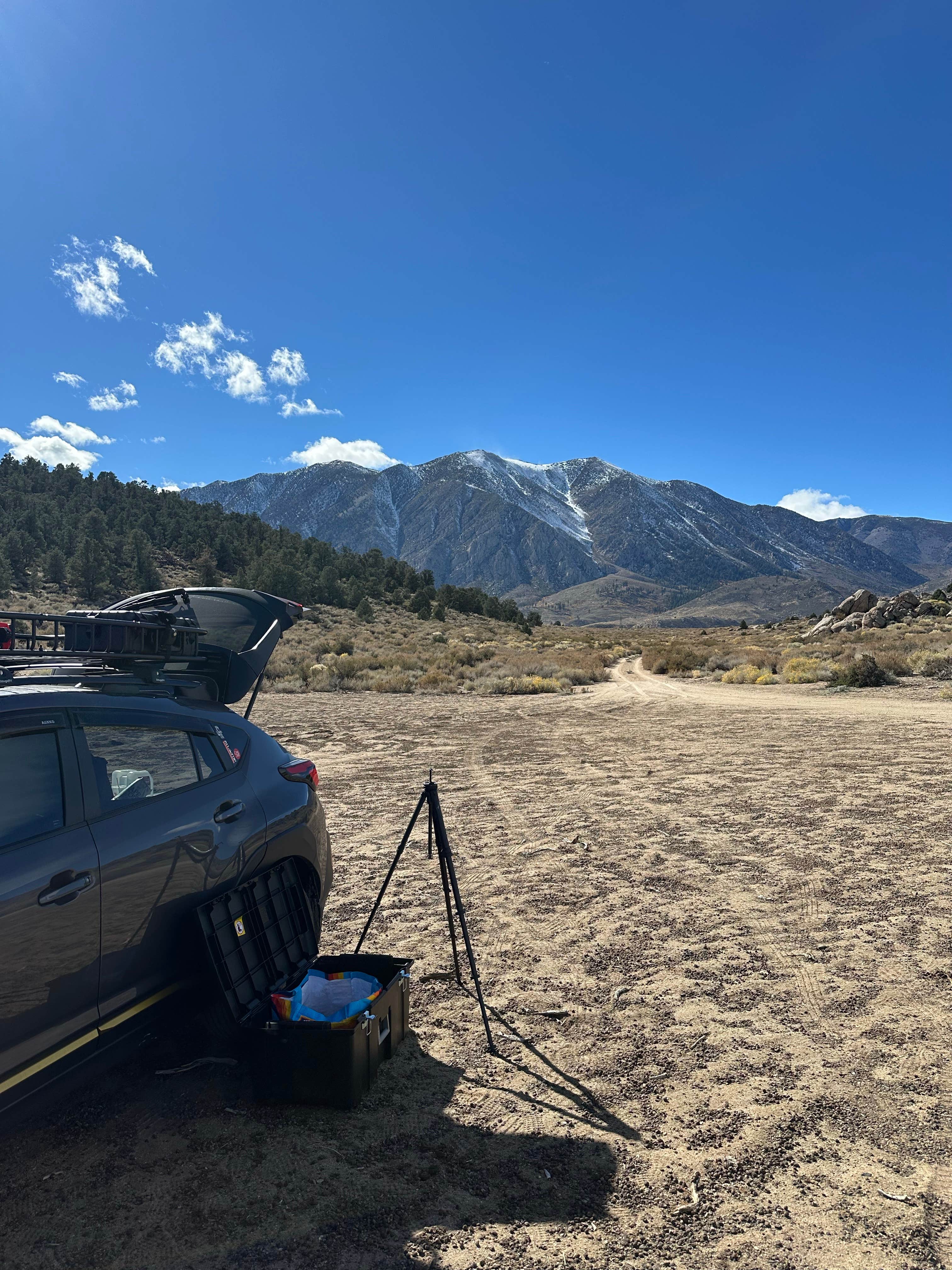 Camper submitted image from Eastern Sierra Flats Dispersed - 3