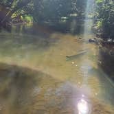 Review photo of Ebys Pines by Andy K., September 11, 2026