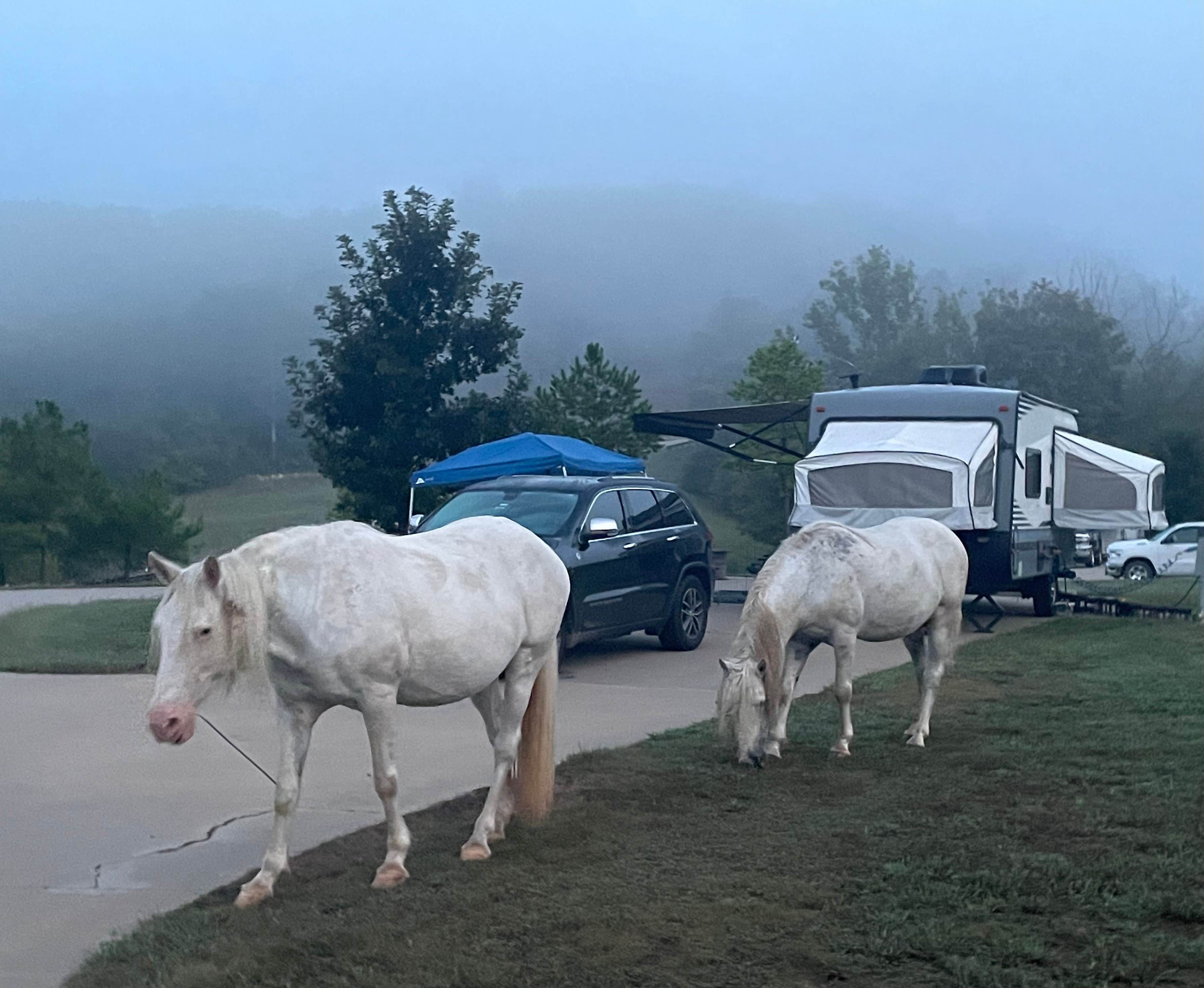 Joel R.'s photo of rv camping at Timbuktu Campground — Echo Bluff State Park near Eminence, MO