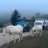 Review photo of Timbuktu Campground — Echo Bluff State Park by Joel R., September 14, 2024