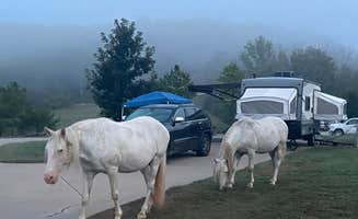 Joel R.'s photo of camping with a horse at Timbuktu Campground — Echo Bluff State Park near Willow Springs, MO