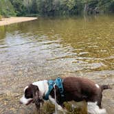 Review photo of Timbuktu Campground — Echo Bluff State Park by Joel R., September 14, 2024