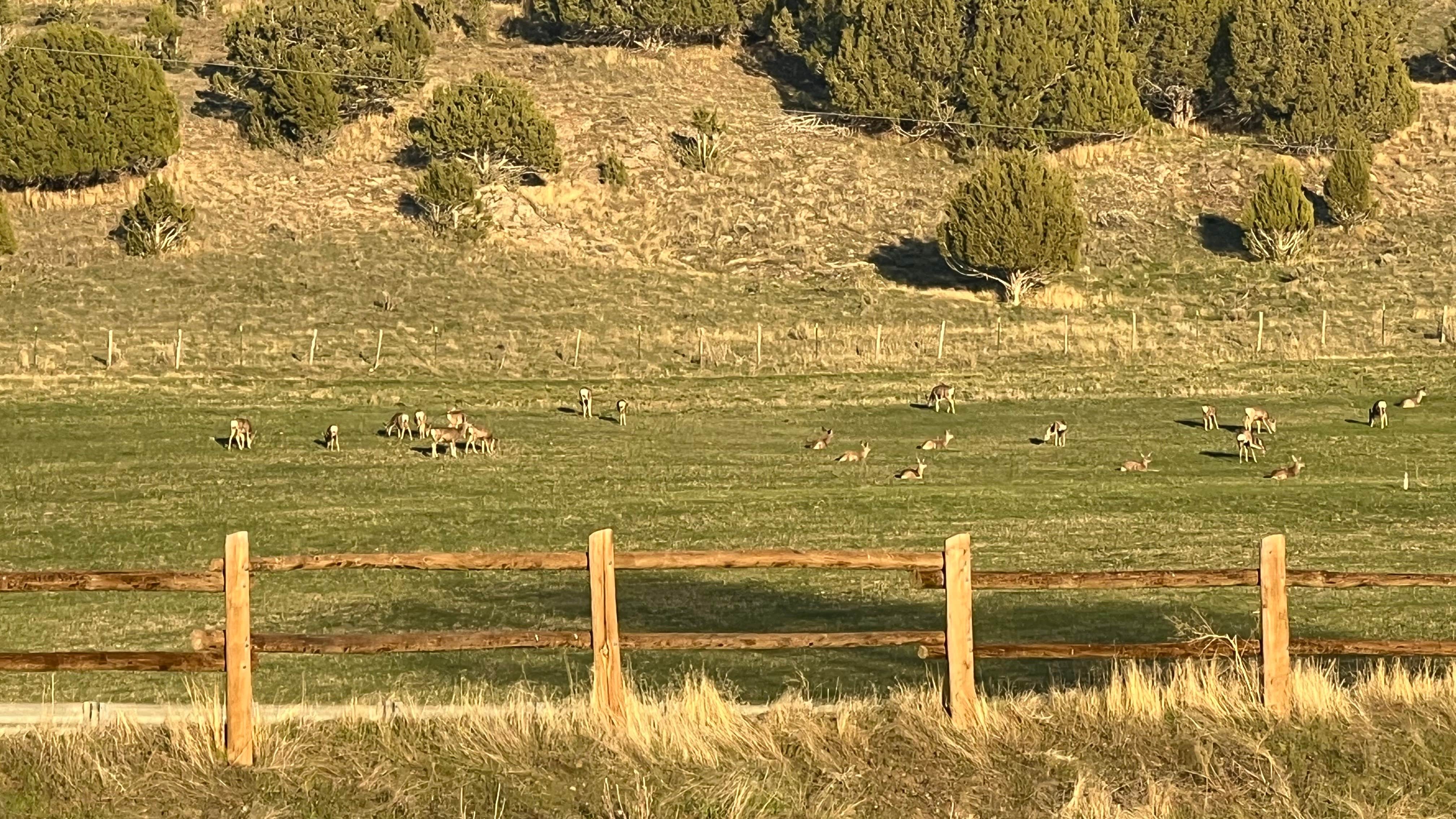 Camper-submitted photo at Dry Hollow Campground — Echo State Park near Evanston, WY