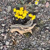 Review photo of Echo Canyon Rd by Nicole V., February 25, 2026