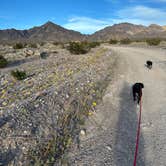 Review photo of Echo Canyon Rd by Nicole V., February 25, 2026