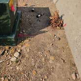 Review photo of Echo Canyon Rest Area by johny R., July 28, 2025