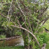 Review photo of Echo Island RV Resort by Tisha B., June 8, 2024