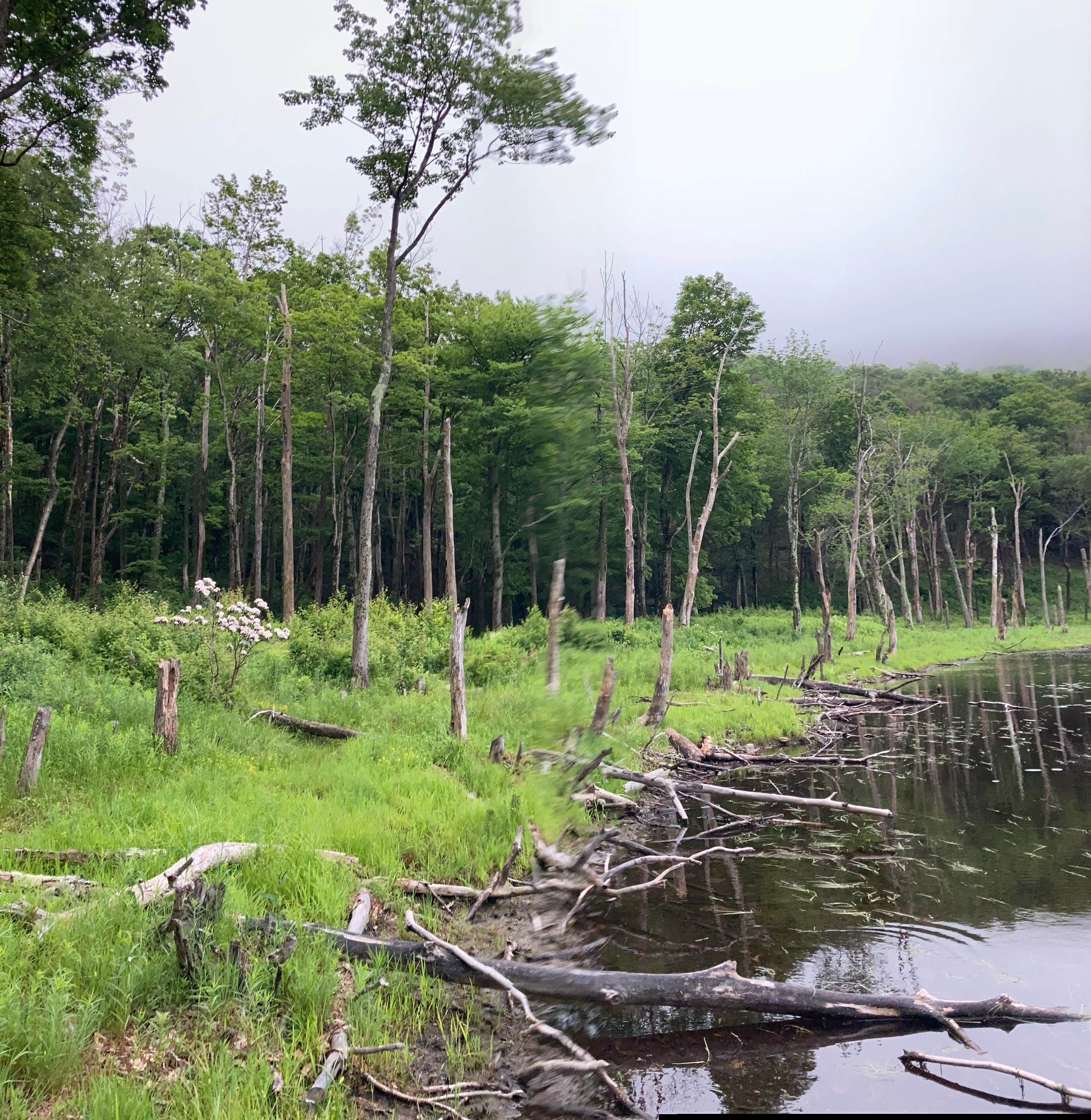 Camper-submitted photo at Echo Lake near Cornwall-on-Hudson, NY