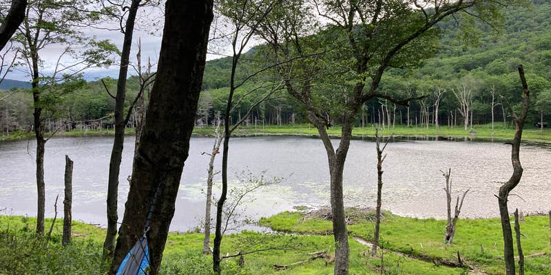 Camper submitted image from Echo Lake