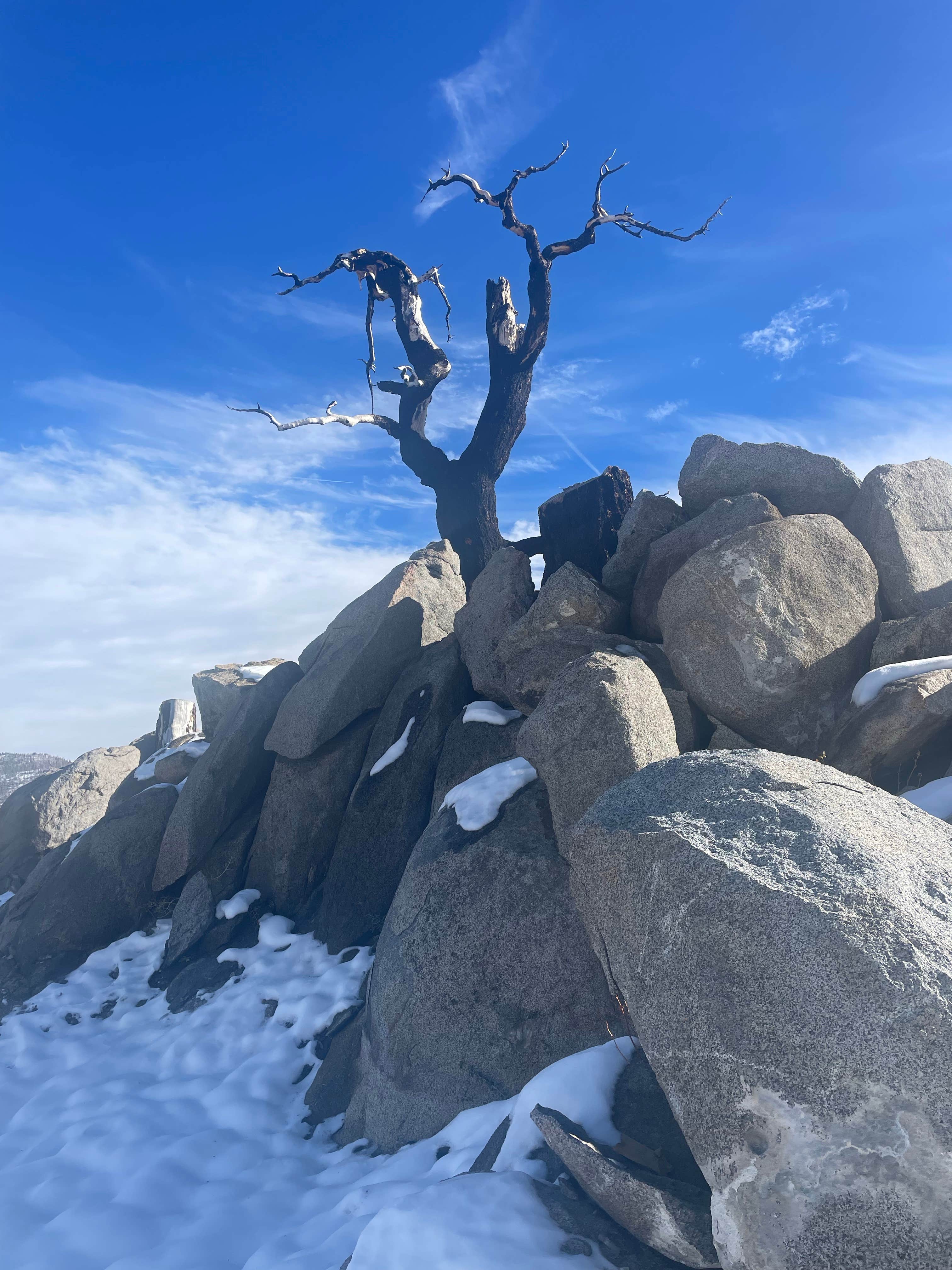 Camper-submitted photo at Echo Summit Dispersed near Twin Bridges, CA