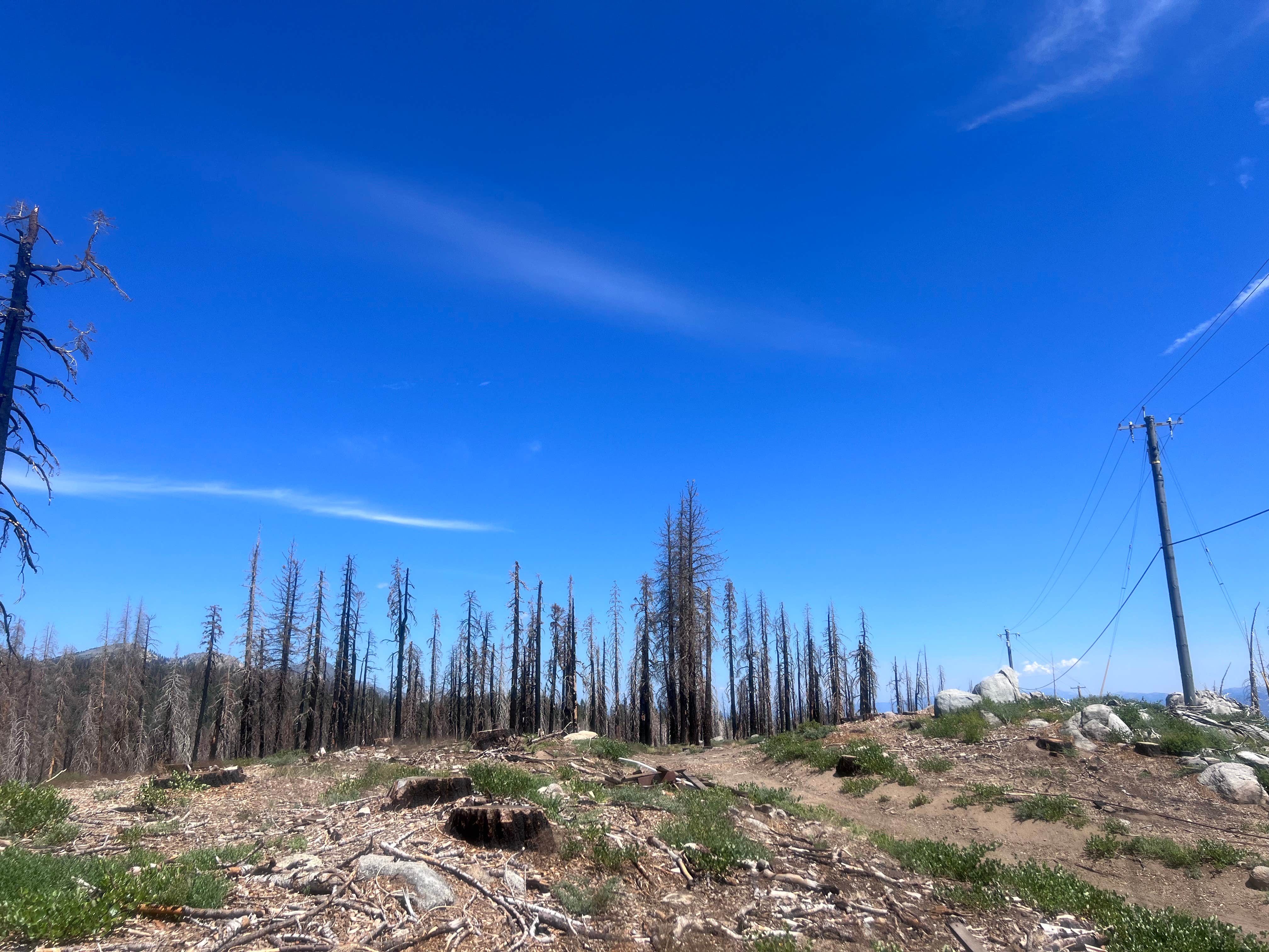 Camper-submitted photo at Echo Summit Dispersed near Twin Bridges, CA