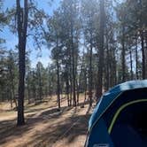 Review photo of Echo Valley Park Campground by Yvonne S., October 13, 2024