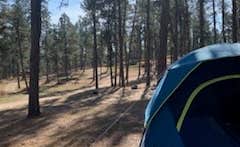 Yvonne S.'s photo at Echo Valley Park Campground near Newcastle, WY