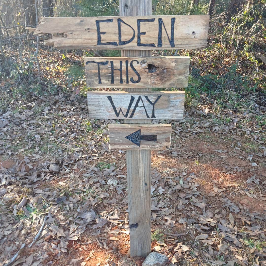 Camper submitted image from Eden in Lancaster SC - 4