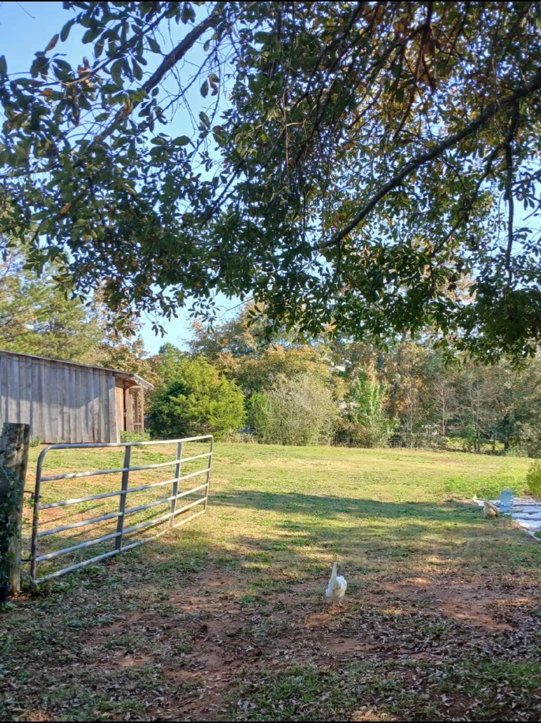 Camper submitted image from Eden in Lancaster SC - 3