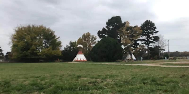 Camper submitted image from Edge of the Woods RV Park and Campground