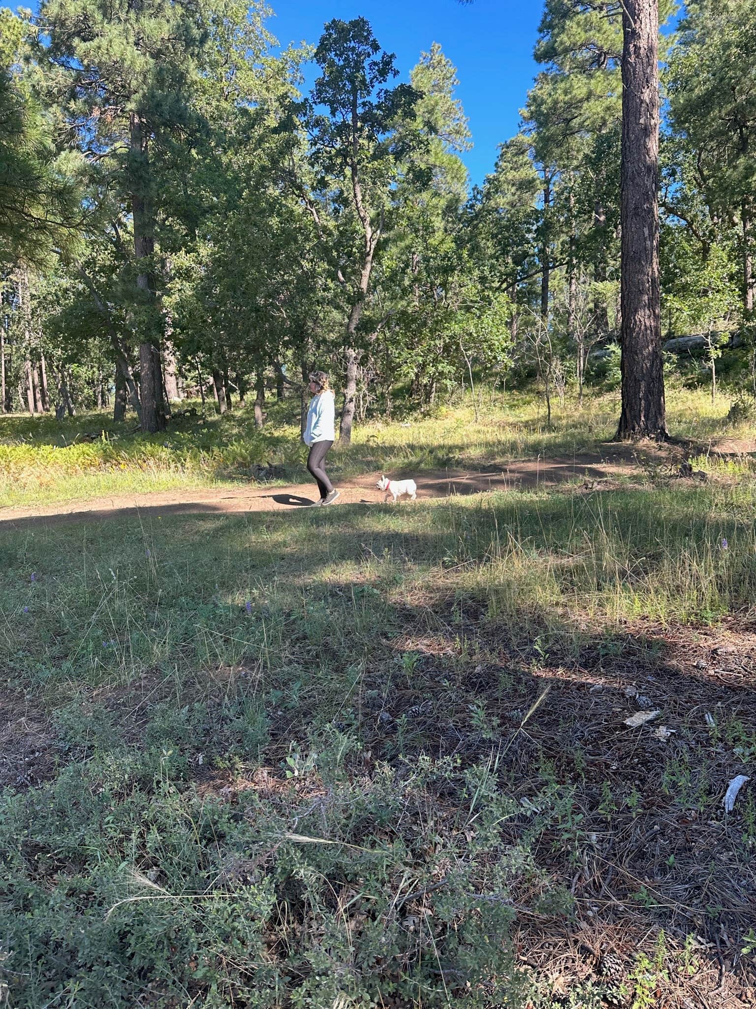 Kathleen W.'s photo of camping with pets at Edge of the World (East Pocket) near Coconino National Forest