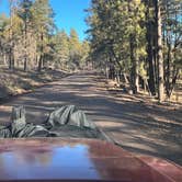 Review photo of Edge of the World (East Pocket) by Curious Compass B., December 10, 2025