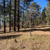 Review photo of Edge of the World (East Pocket) by Curious Compass B., December 10, 2025