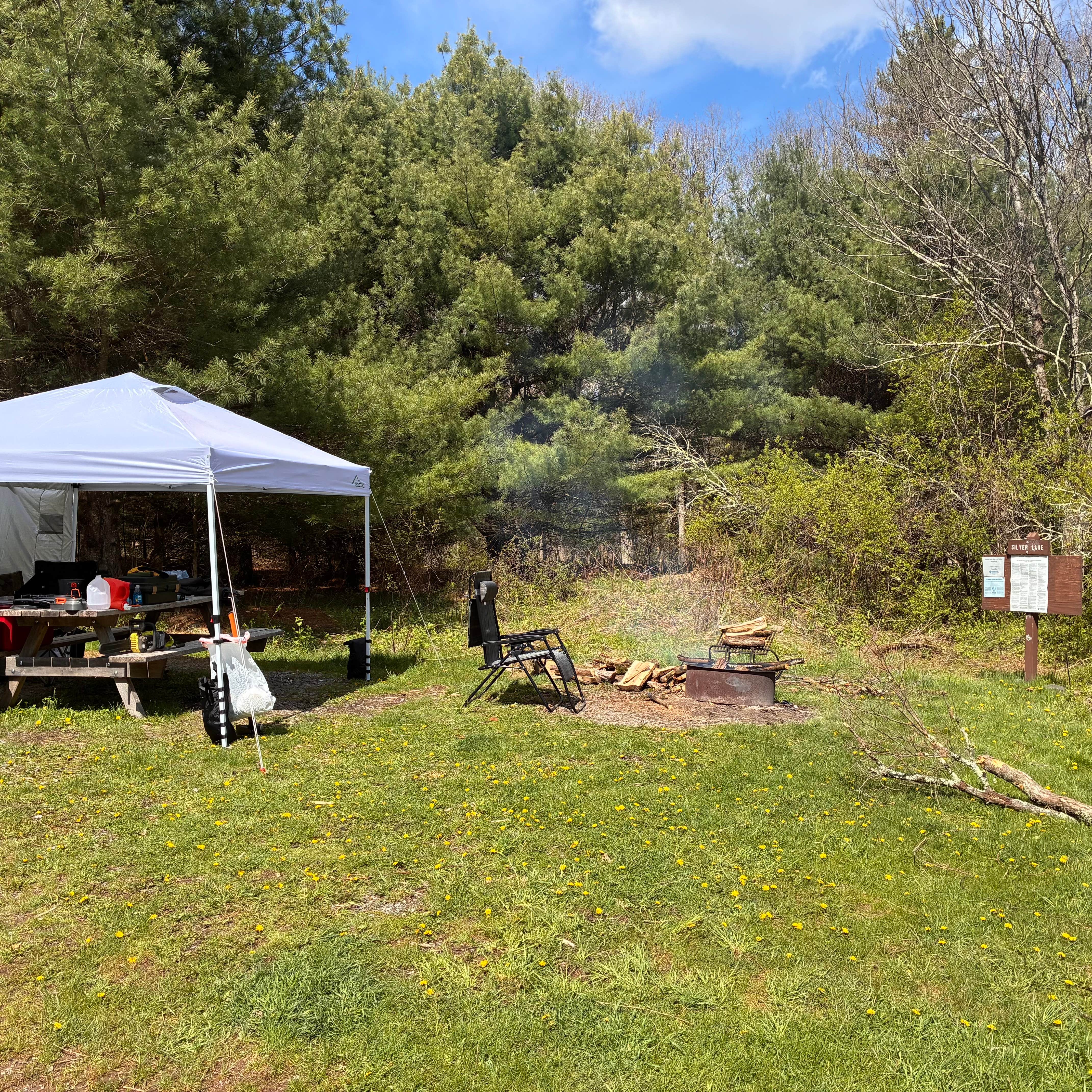 Camping near Pickerel Point Campground — Promised Land State Park: Edgemere Roadside Campsites — Delaware State Forest, Skytop, Pennsylvania