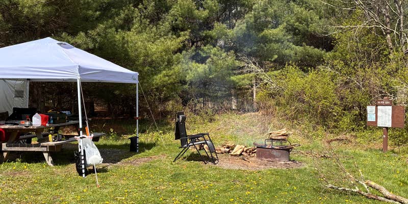 Camper submitted image from Edgemere Roadside Campsites — Delaware State Forest