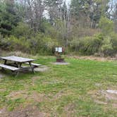 Review photo of Edgemere Roadside Campsites — Delaware State Forest by michael R., May 3, 2026
