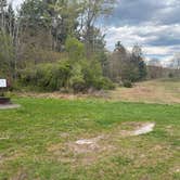 Review photo of Edgemere Roadside Campsites — Delaware State Forest by michael R., May 3, 2026
