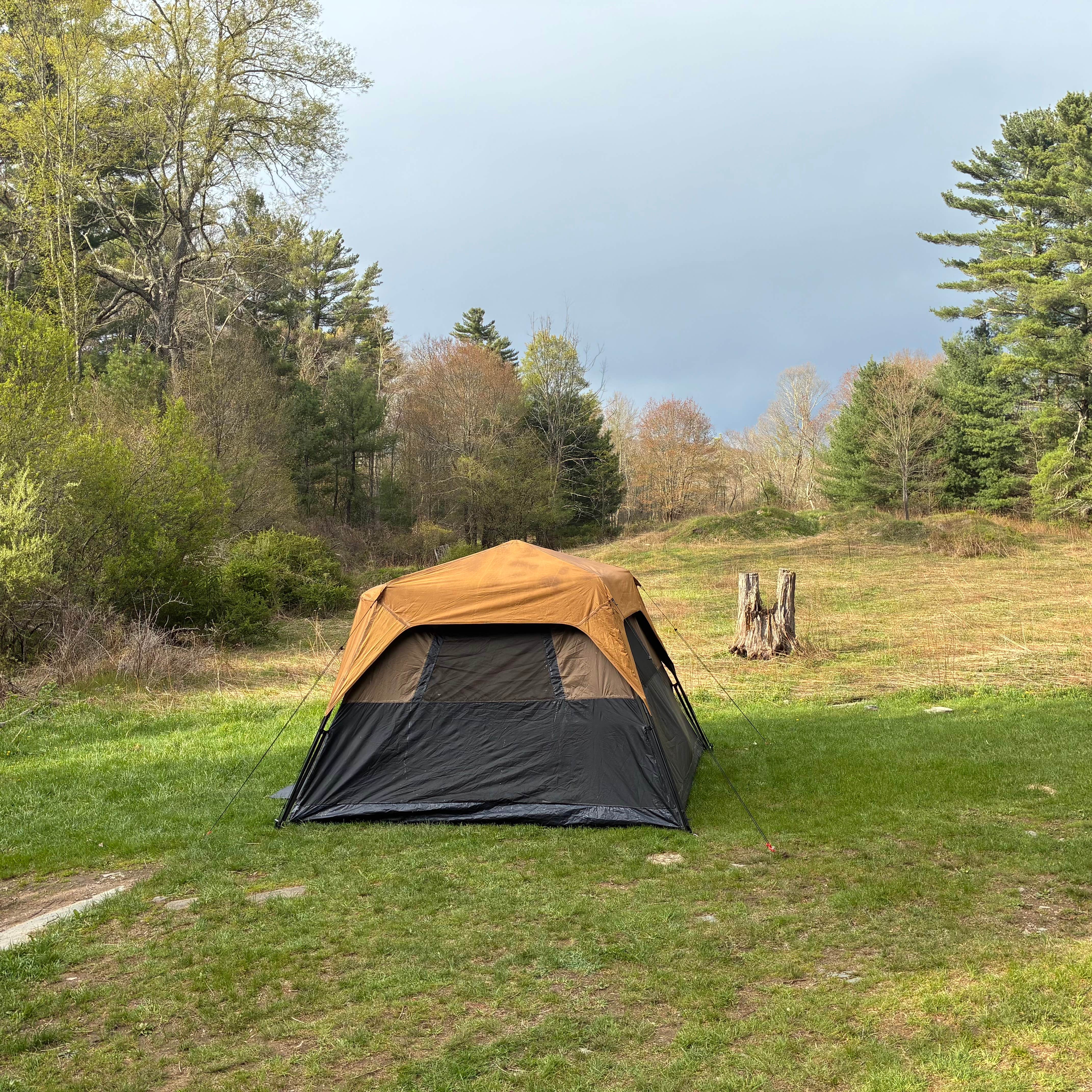 michael R.'s photo at Edgemere Roadside Campsites — Delaware State Forest near Skytop, PA