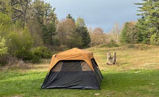 michael R.'s photo at Edgemere Roadside Campsites — Delaware State Forest near Greentown, PA