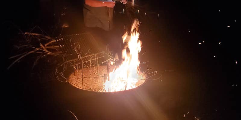 Camper submitted image from Edgemere Roadside Campsites — Delaware State Forest