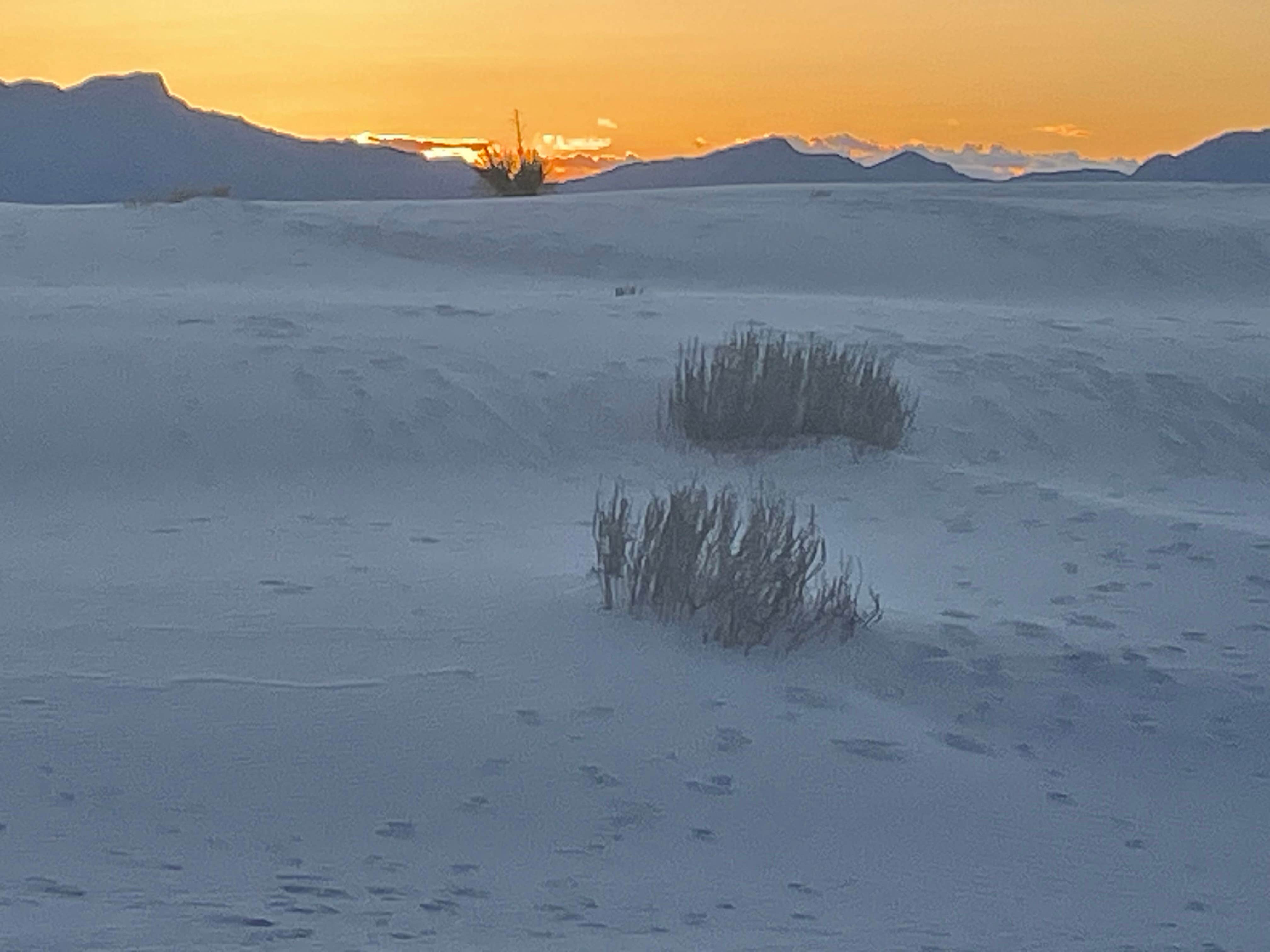 Camper-submitted photo at Edgington RV Park near Lincoln National Forest