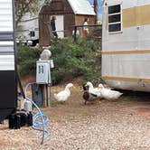 Review photo of Edgington RV Park by Joel R., April 3, 2024