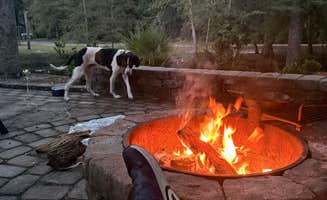 Todd F.'s photo of camping with pets at Edisto River Lodge near Ridgeville, SC