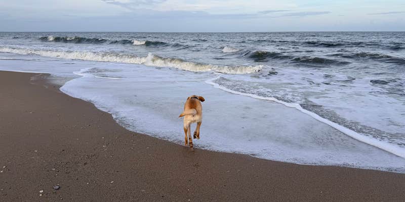 Camper submitted image from edisto state park