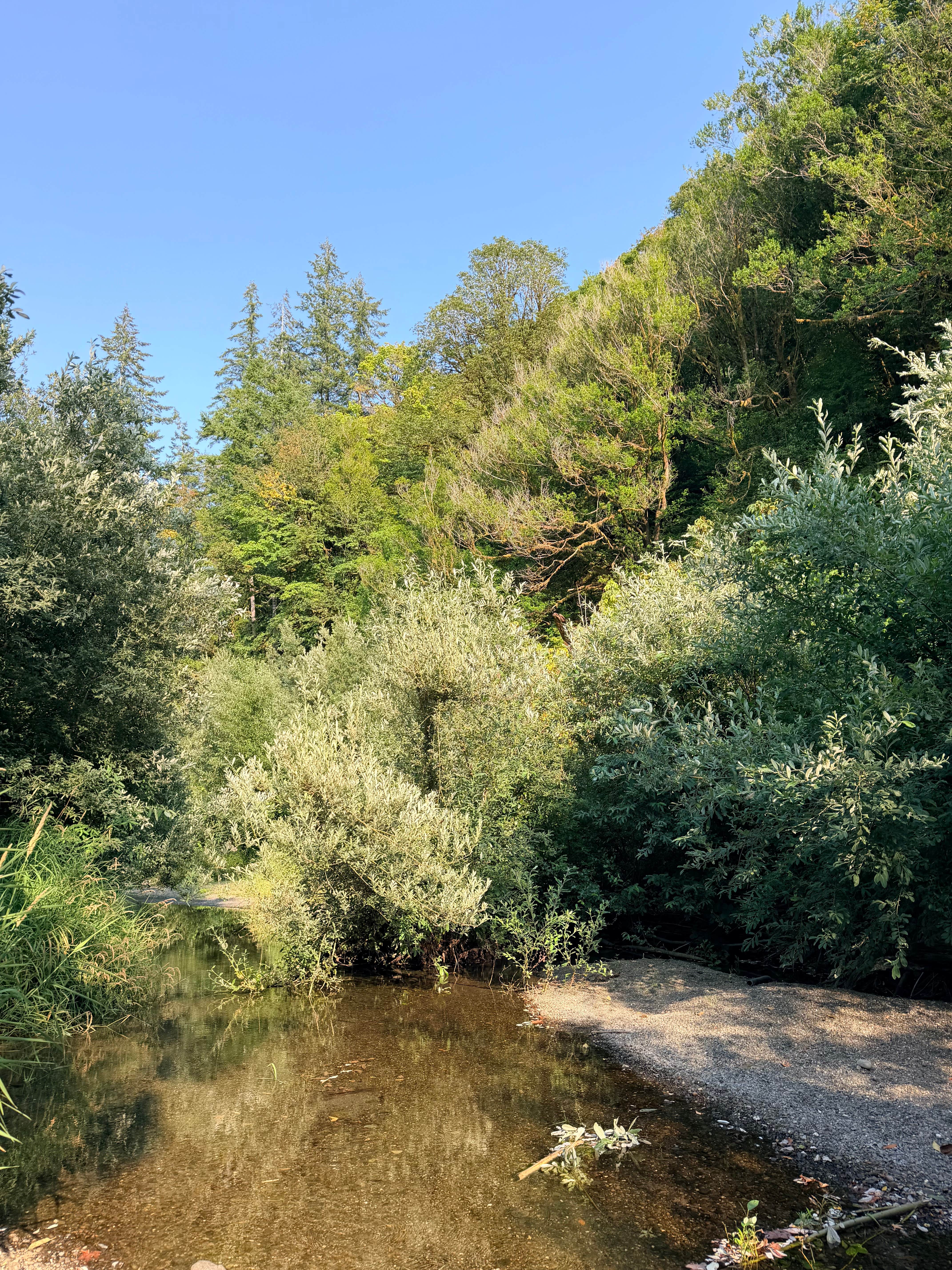 Camper-submitted photo at Edson Creek Camping — Bureau Of Land Management near Sixes, OR
